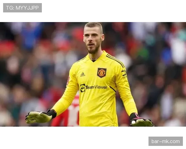 凯塞多职业生涯回顾:从新星崛起到绿茵场上的闪耀力量 凯塞多职业生涯回顾:从新星崛起到绿茵场上的闪耀力量